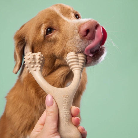 Betterbone Juguete Comestible para mordida Media Hipoalergénico