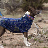 Ruffwear Collar Reflectante para perro Crag Alpine Dusk
