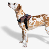 ZeeDog Arnés para Perro Un Solo Click Vortex