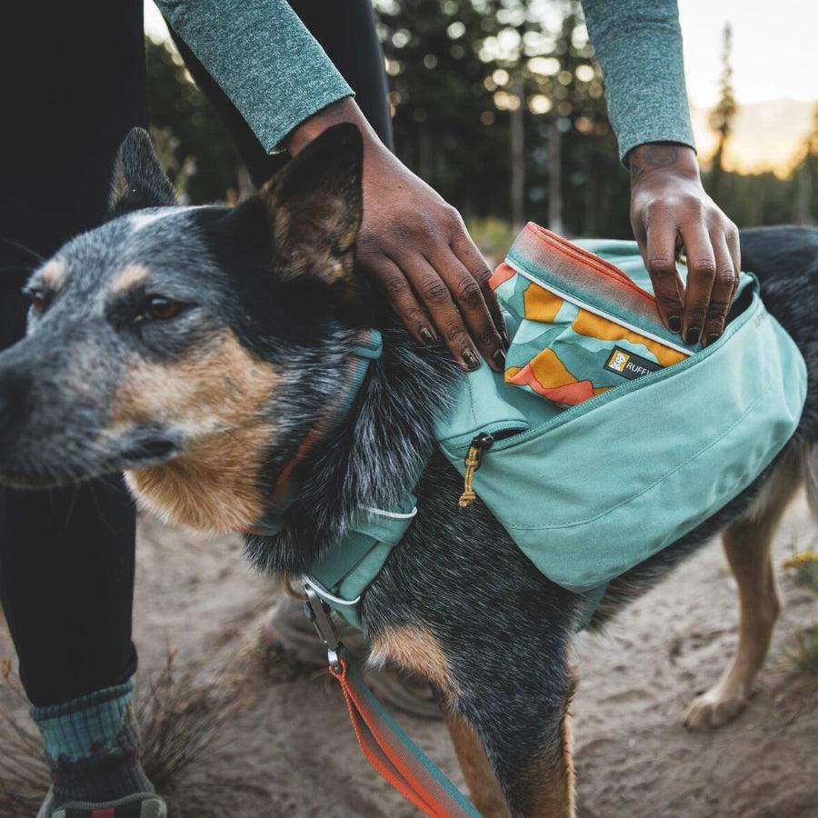 Ruffwear Mochila de Viaje para perro con arnés Front Range Daypack River Rock Green