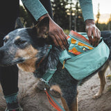 Ruffwear Mochila de Viaje para perro con arnés Front Range Daypack River Rock Green