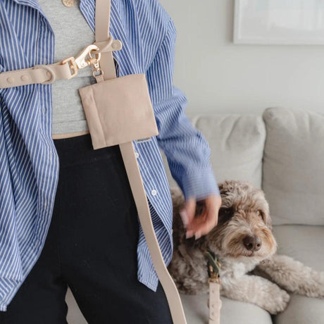Dexypaws Correa Manos Libres 2.44m Beige