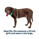 Ruffwear Arnés para perro Hi & Light Sage Green