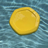 Project Hive Frisbee para perro
