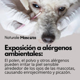 Naturale Mascota Aceite Terapia de Ozono para perro 60ml