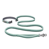 Ruffwear Correa para perro Roamer Multiusos River Rock Green
