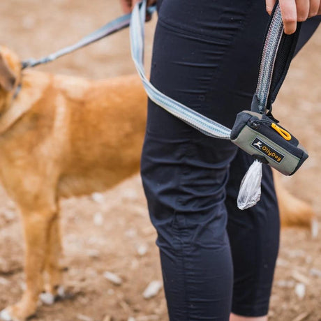 OllyDog Dispensador de Bolsas para Desechos Verde