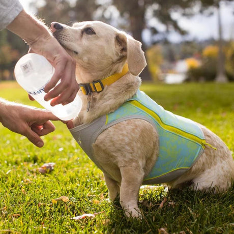 Ruffwear Chaleco de Enfriamiento para perro Blue Mist